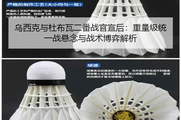 乌西克与杜布瓦二番战官宣后：重量级统一战悬念与战术博弈解析